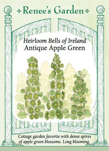RG Bells of Ireland Apple Green